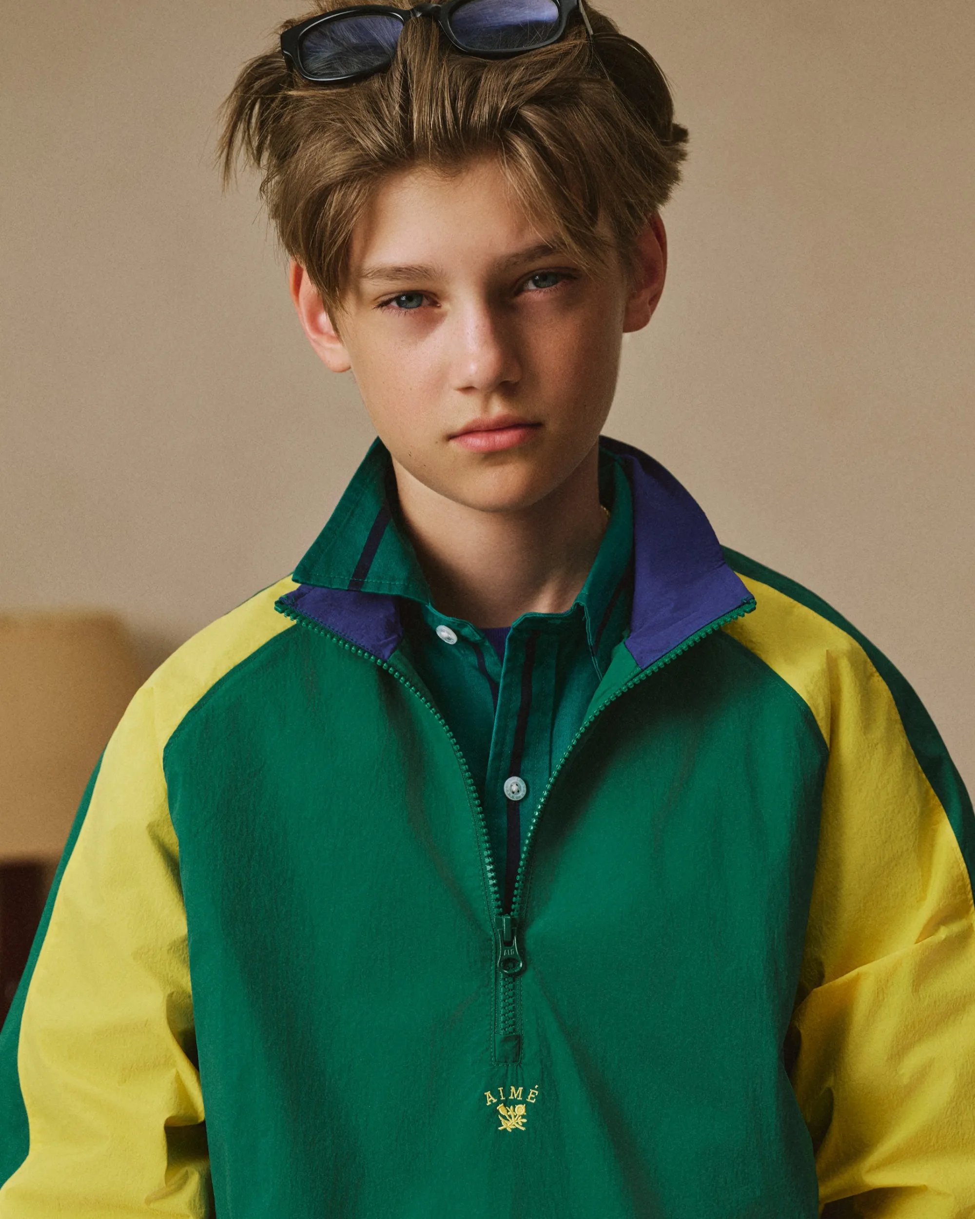 Aimé Leon Dore Crest Nylon Half-Zip Pullover