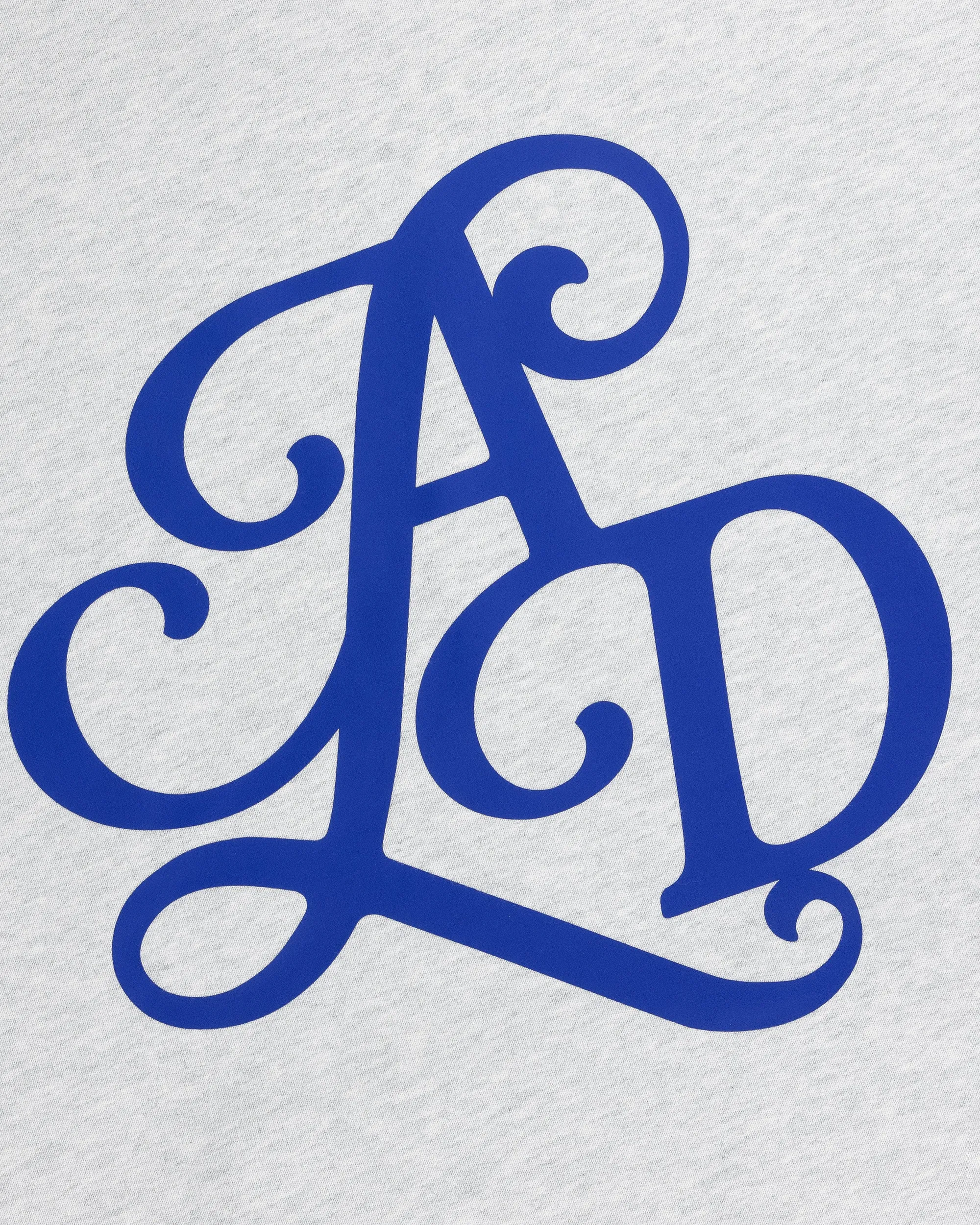 Aimé Leon Dore Monogram Hoodie