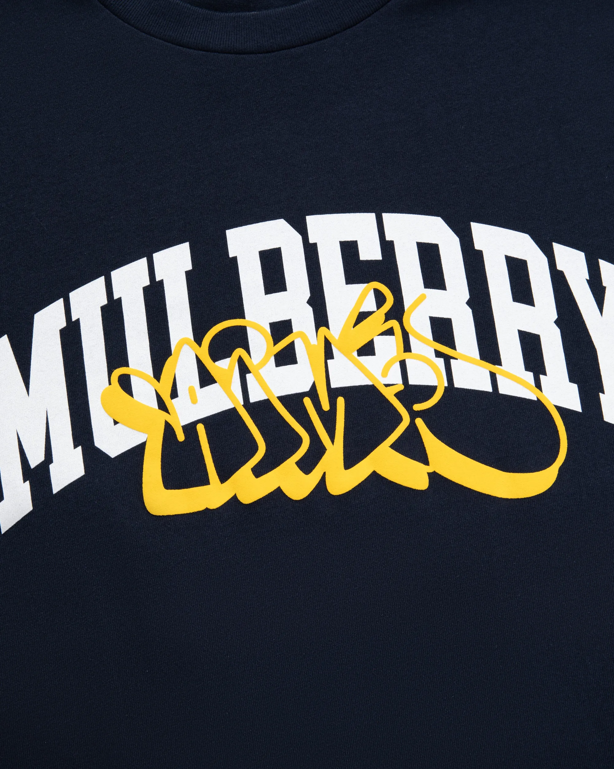 Aimé Leon Dore Mulberry Throwie Tee