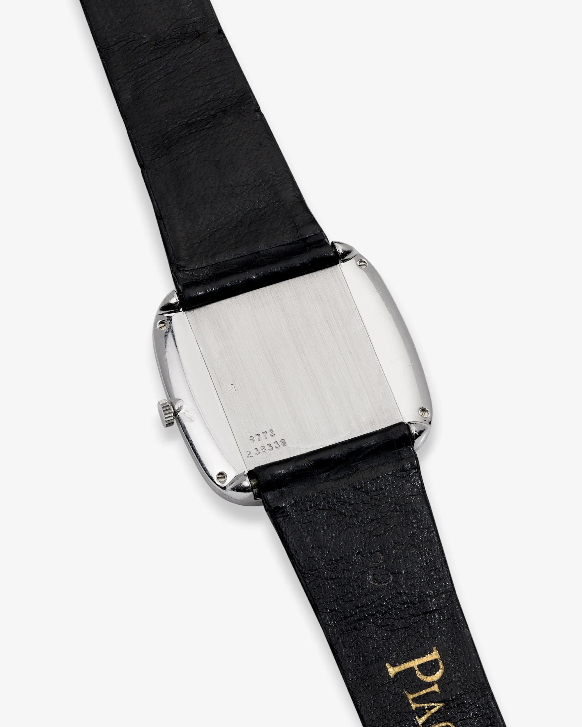 Aimé Leon Dore Piaget Bark Finish Watch