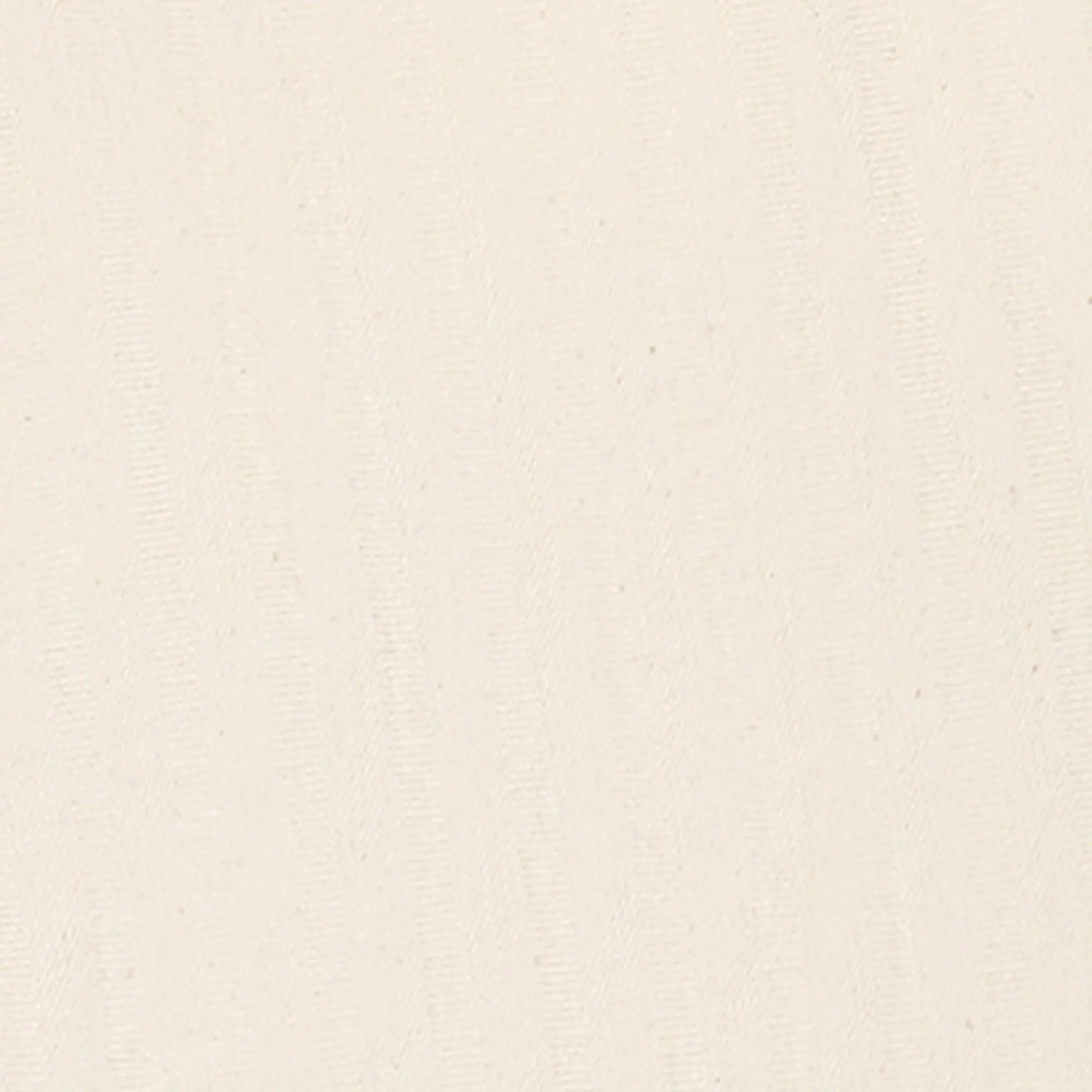 Aimé Leon Dore Single Pleated Pant