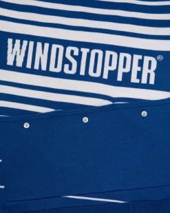 Aimé Leon Dore WINDSTOPPER® Striped Knit Cycling Jersey by GORE-TEX LABS